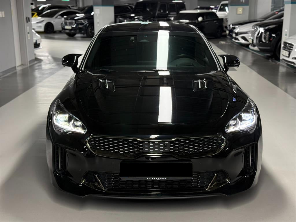Kia Stinger — photo 02