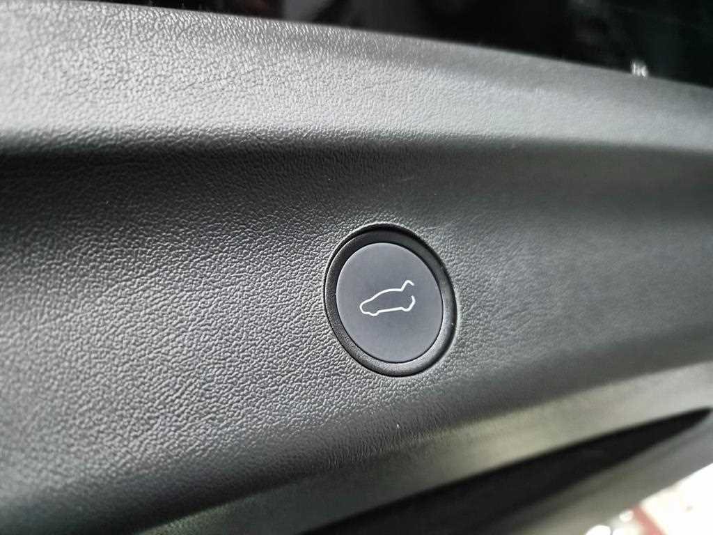 Tesla Model Y — photo 16