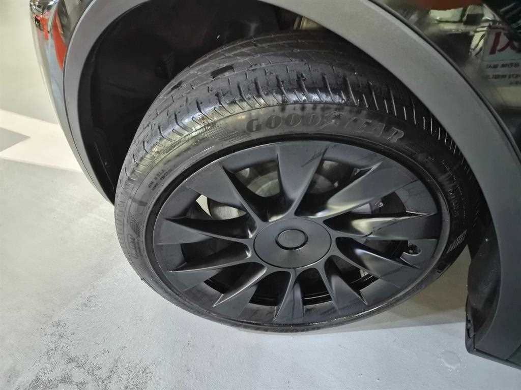 Tesla Model Y — photo 20