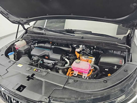 Kia Carnival — photo 05