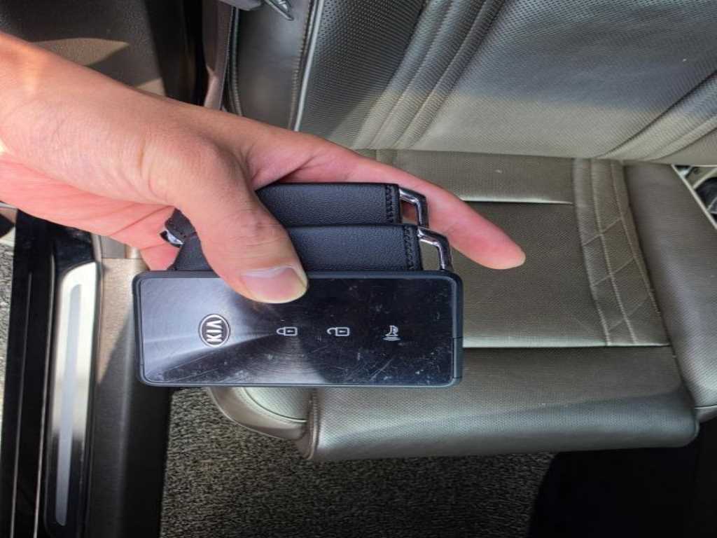 Kia K9 — photo 16