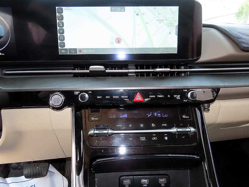 Kia Carnival — photo 14