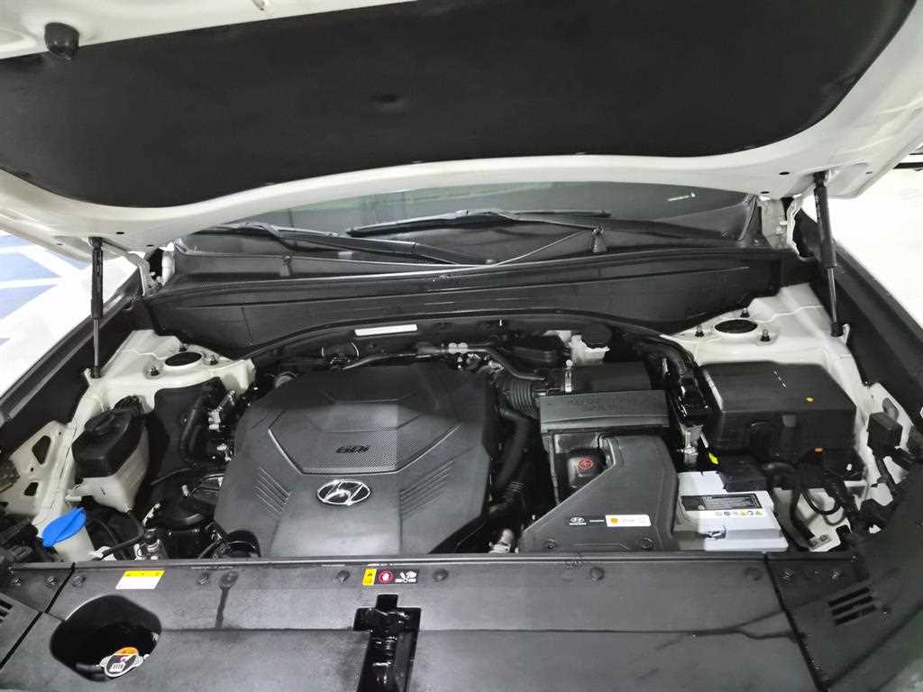 Hyundai Palisade — photo 19