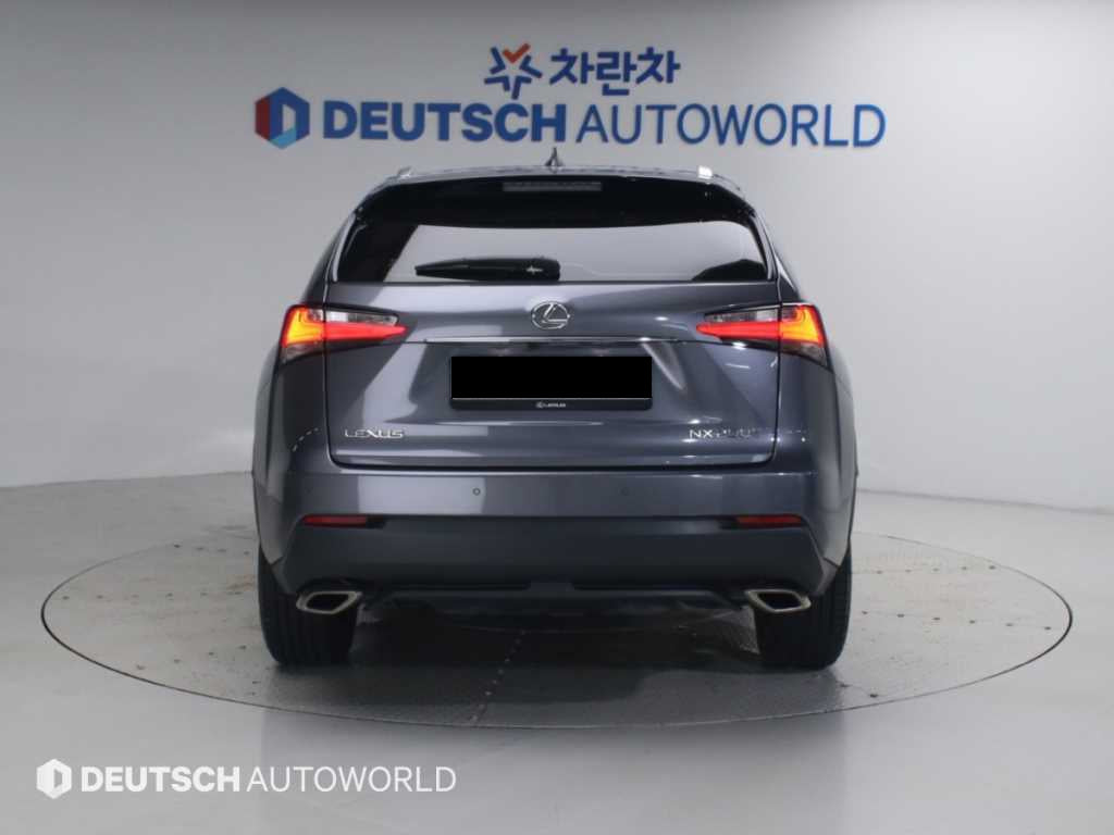 Lexus NX — photo 04