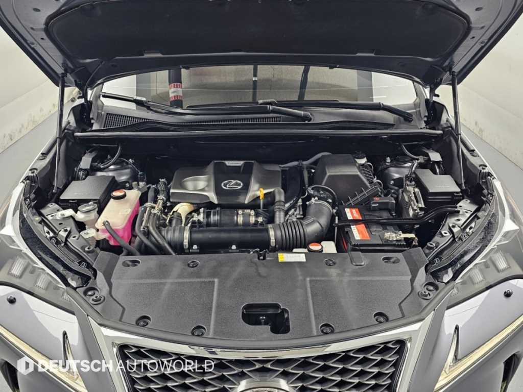 Lexus NX — photo 06
