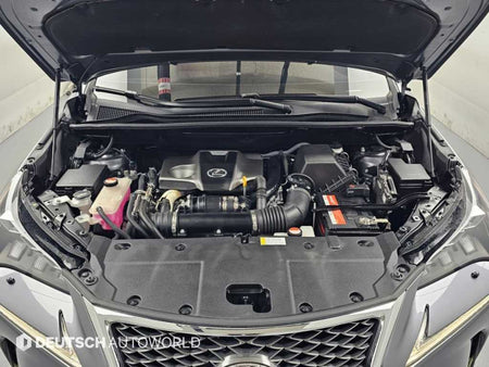 Lexus NX — photo 06