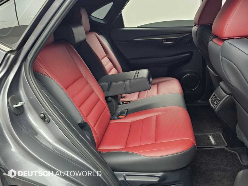Lexus NX — photo 12