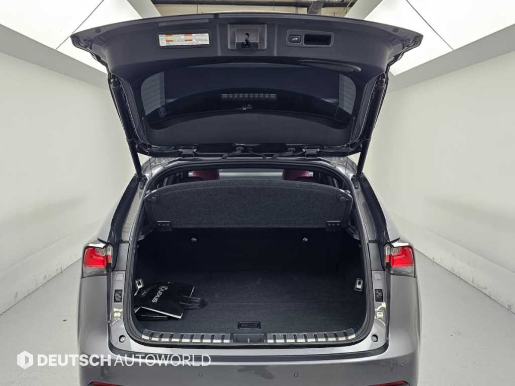 Lexus NX — photo 19