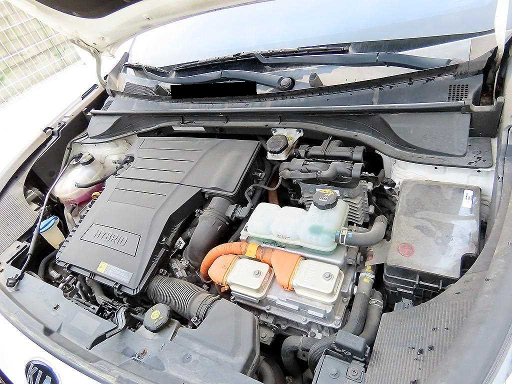 Kia Niro — photo 19