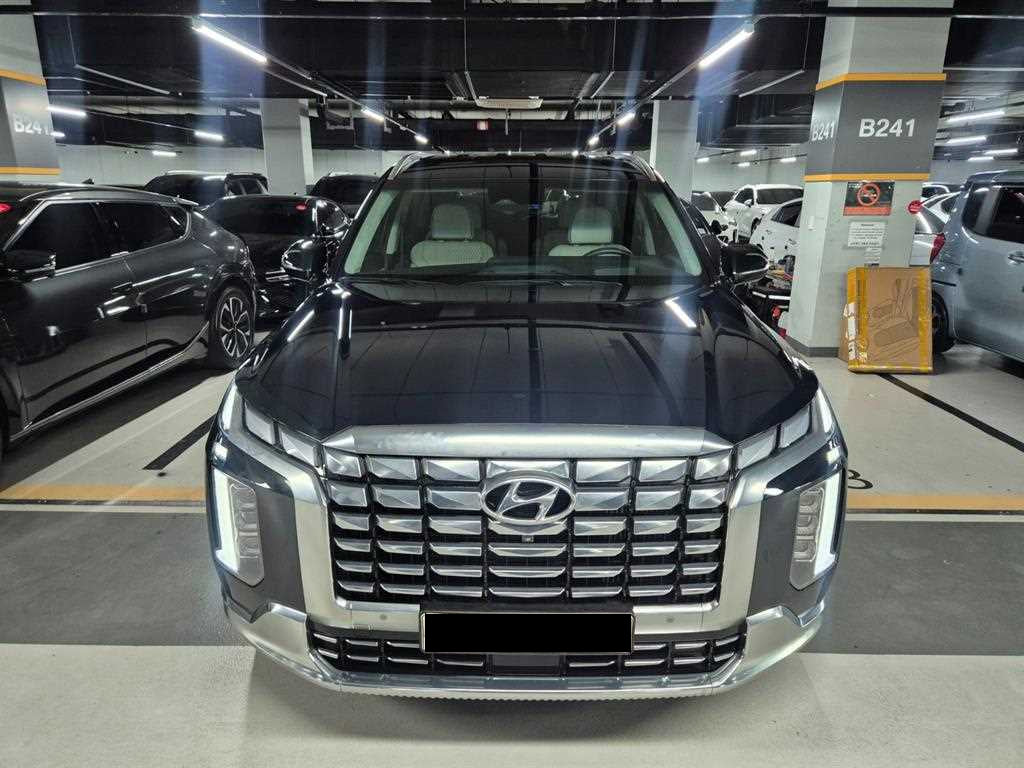 Hyundai Palisade — photo 04