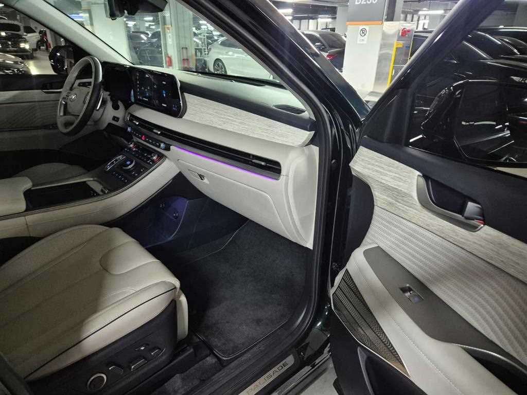 Hyundai Palisade — photo 11