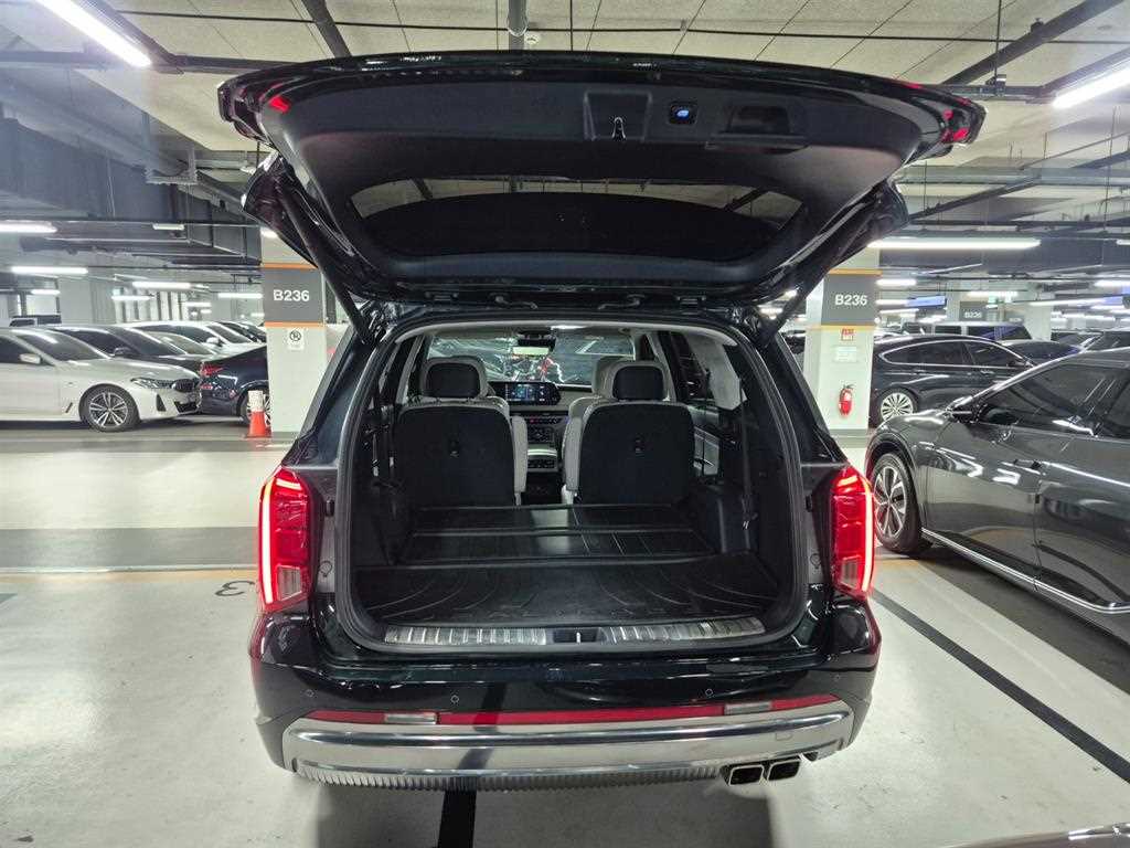Hyundai Palisade — photo 20