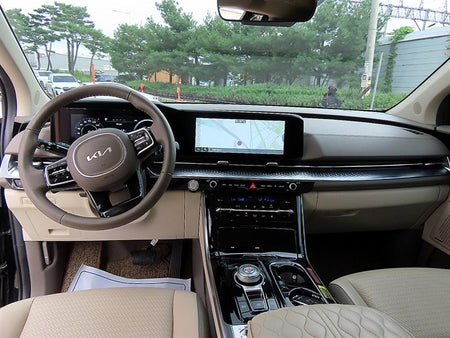Kia Carnival — photo 07