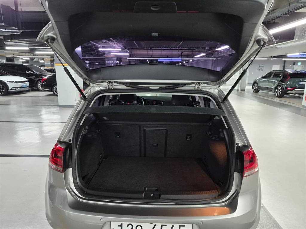 Volkswagen Golf — photo 19