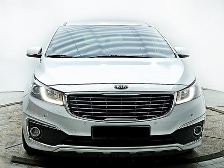 Kia Carnival — photo 01