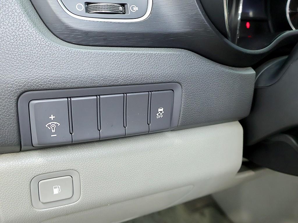 Kia Carnival — photo 14