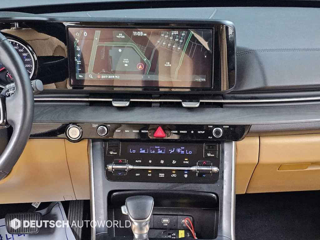 Kia Carnival — photo 14