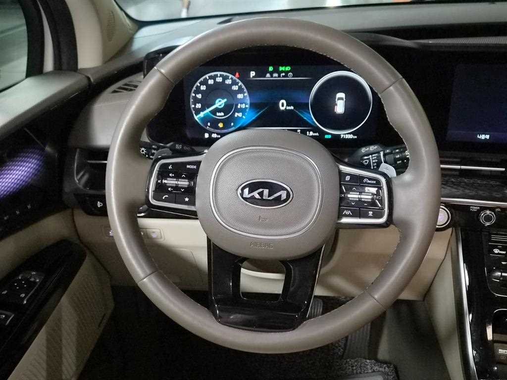 Kia Carnival — photo 12