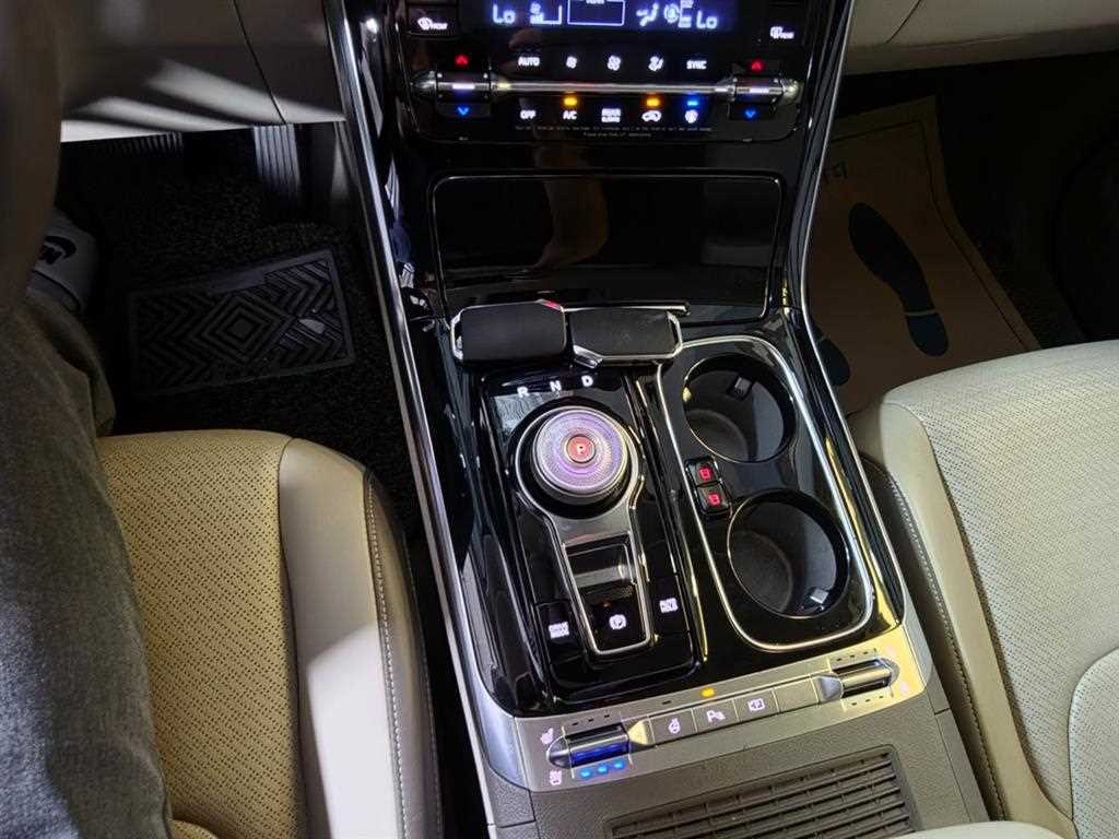 Kia Carnival — photo 16
