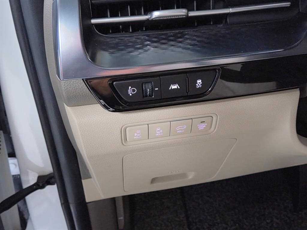 Kia Carnival — photo 18