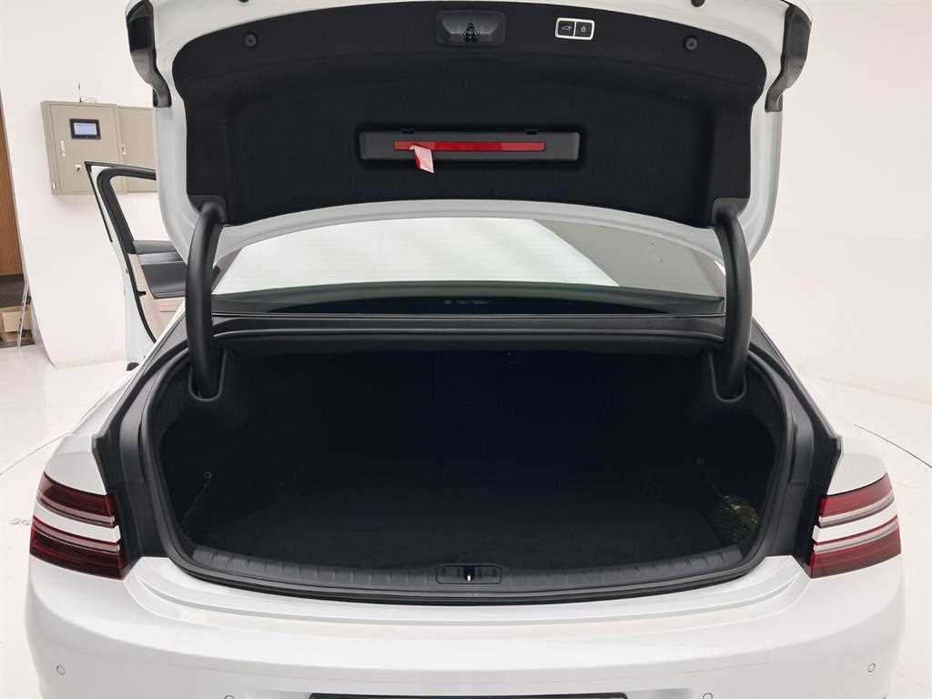 Genesis G80 — photo 17
