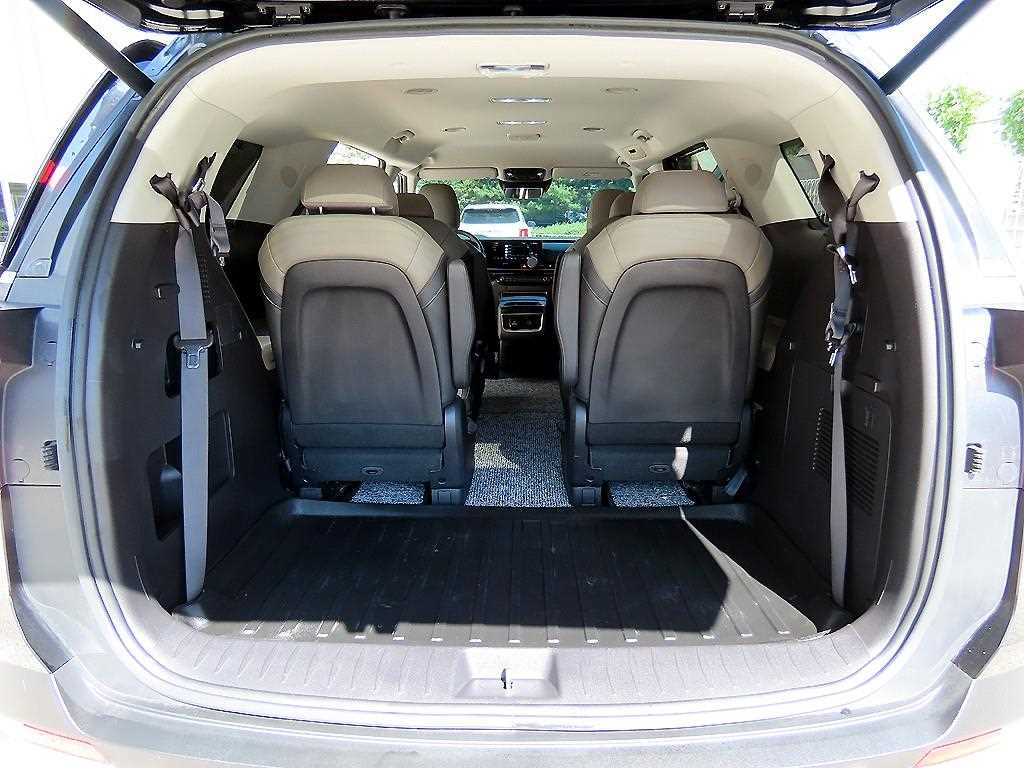 Kia Carnival — photo 16