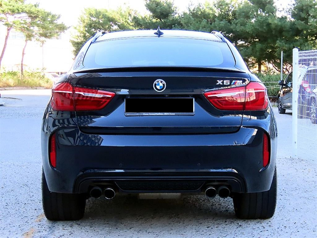 BMW X6M — photo 04