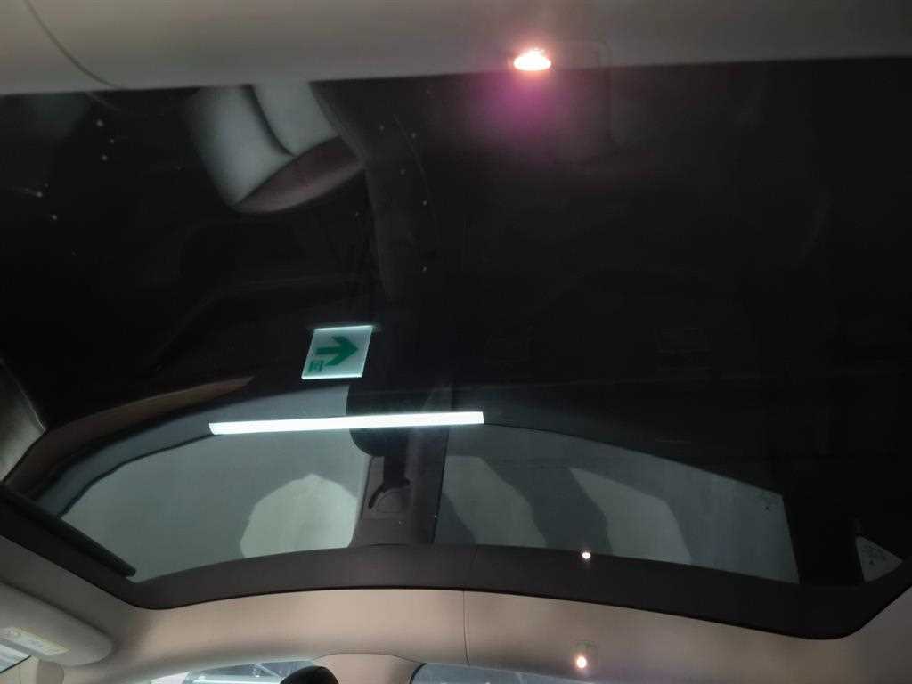Tesla Model Y — photo 15