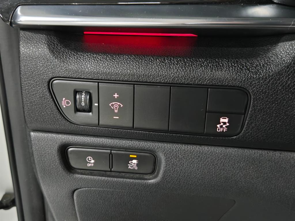 Kia Niro — photo 17
