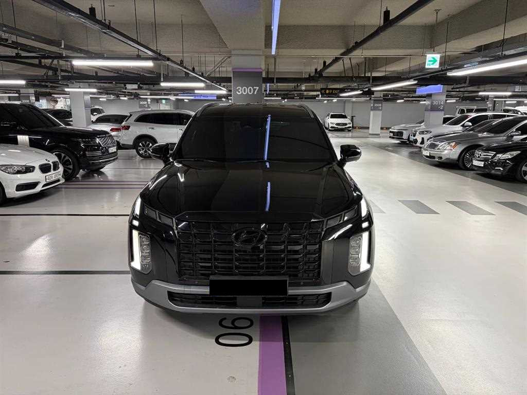 Hyundai Palisade — photo 02