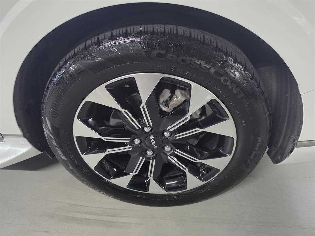 Kia Carnival — photo 16