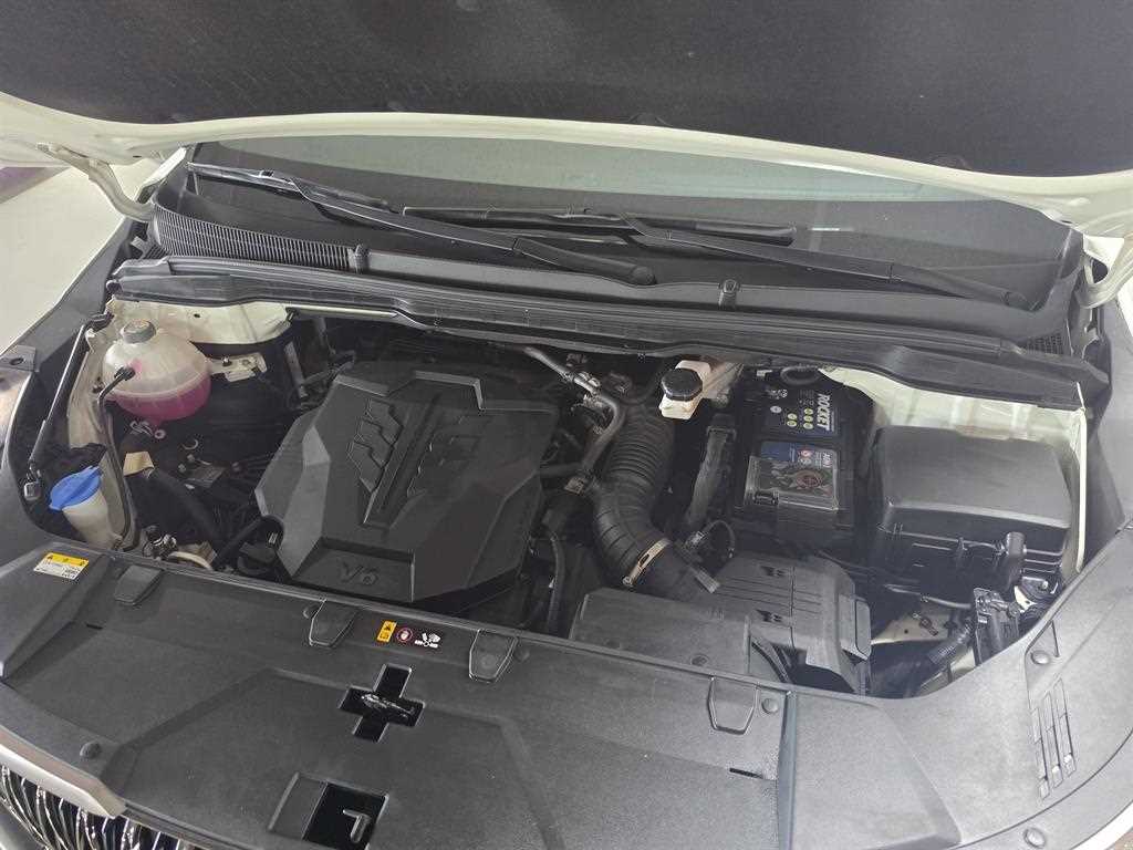 Kia Carnival — photo 18