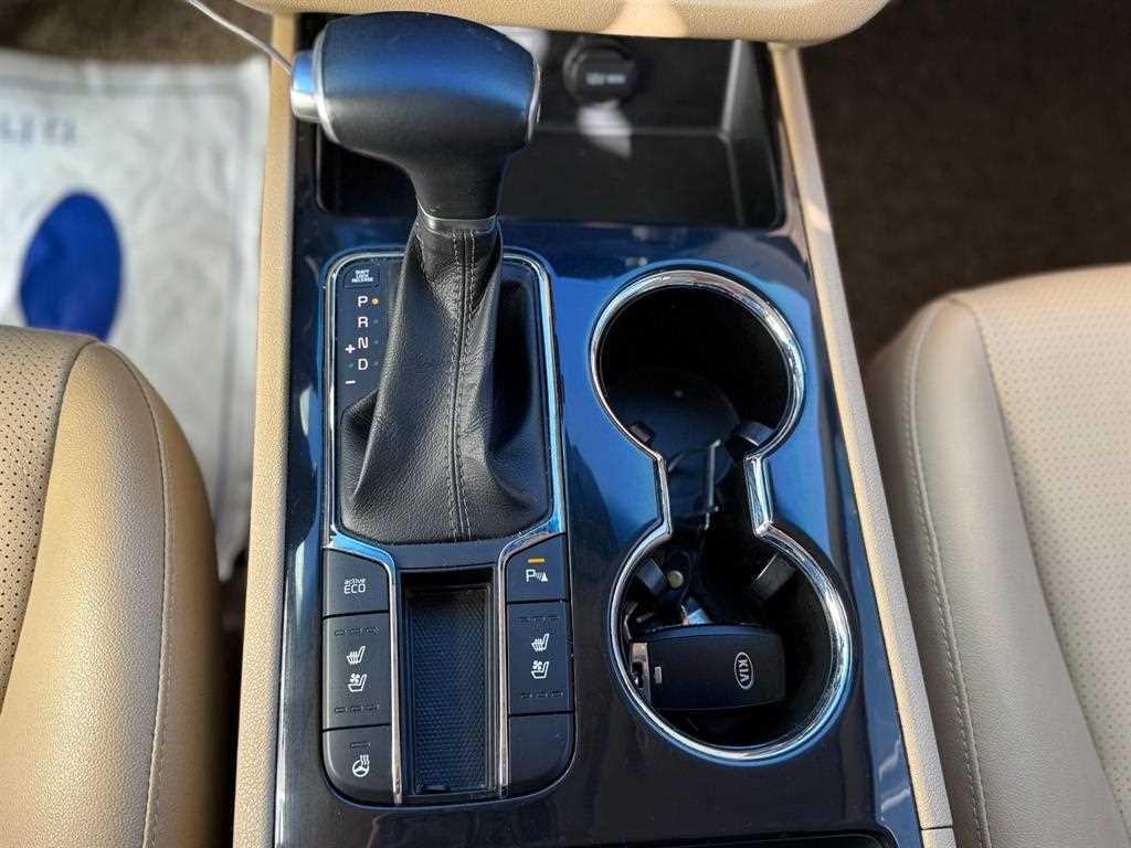 Kia Carnival — photo 14