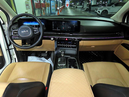Kia Carnival — photo 10