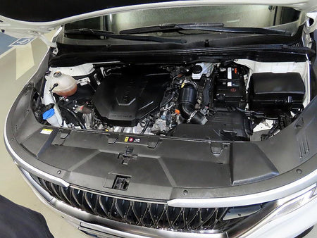 Kia Carnival — photo 19