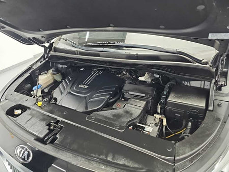 Kia Carnival — photo 05