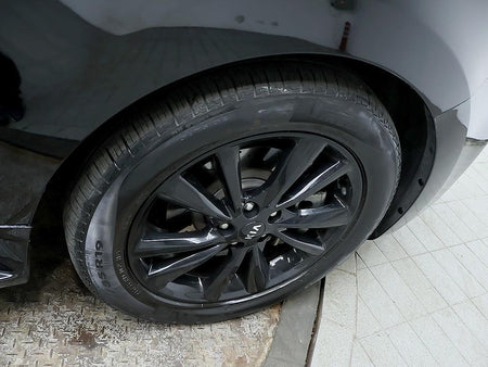 Kia Carnival — photo 08