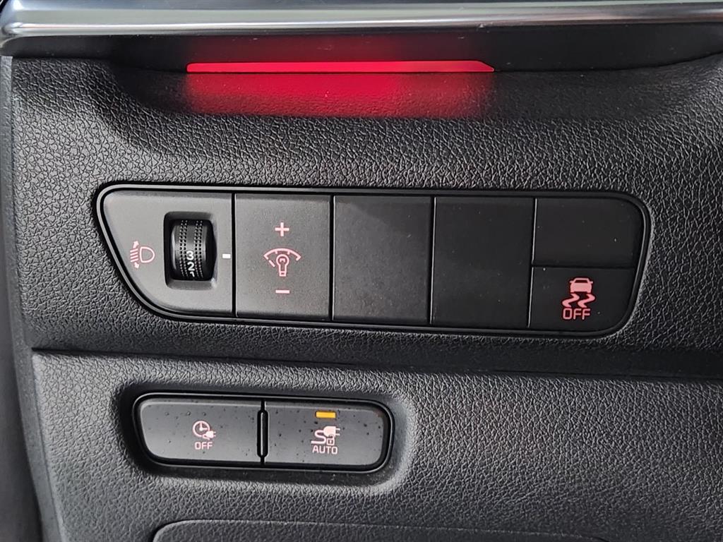 Kia Niro — photo 16