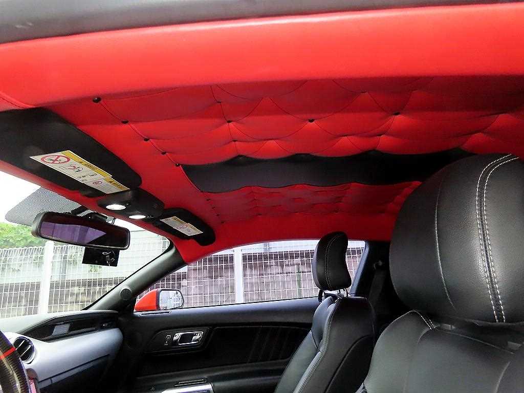 Ford Mustang — photo 16