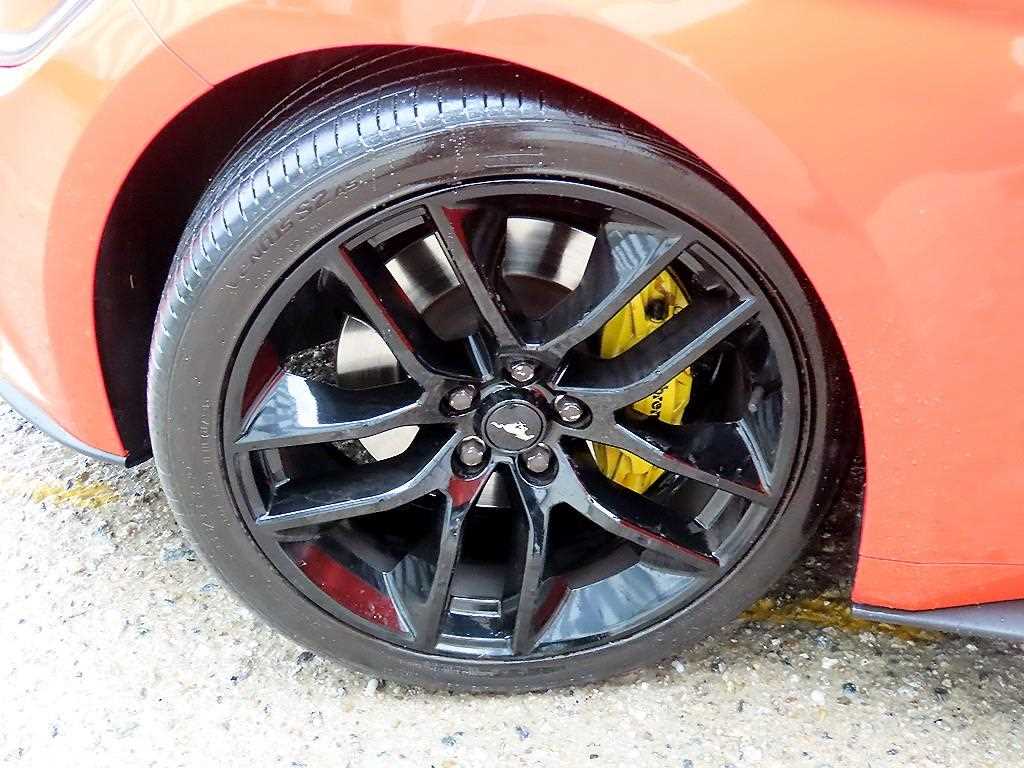 Ford Mustang — photo 18