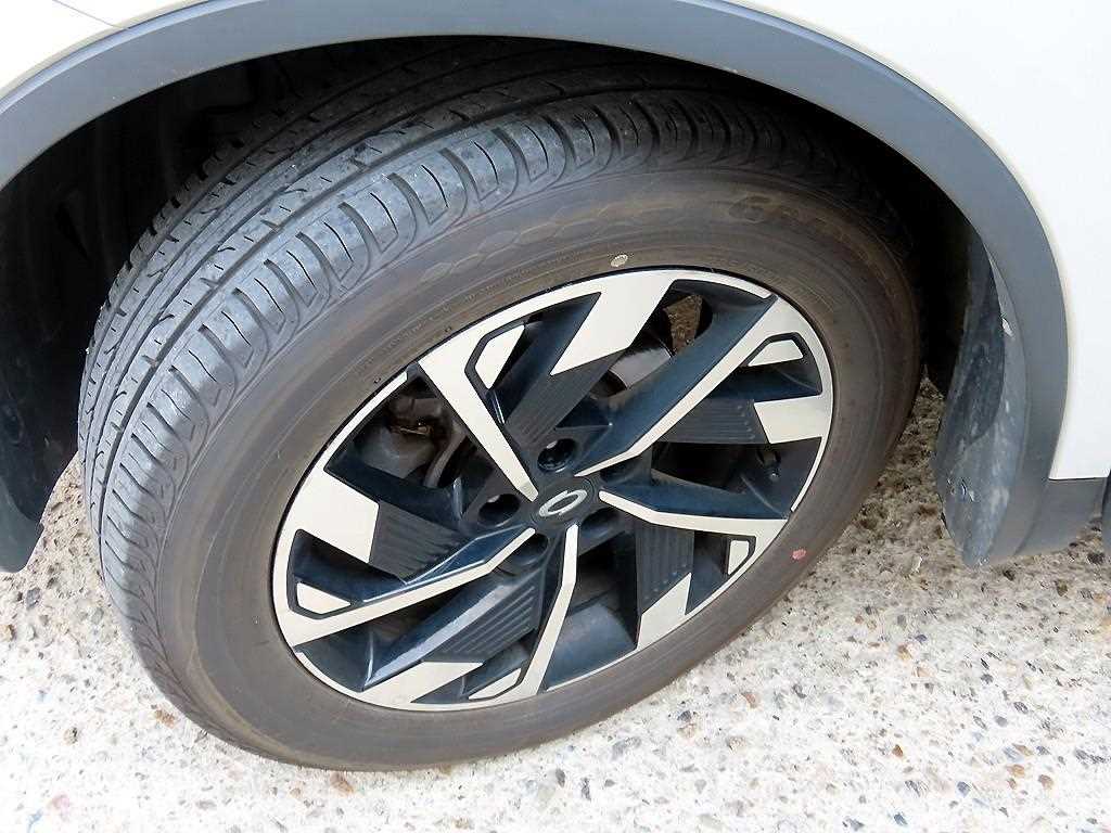 RENAULT QM6 — photo 20