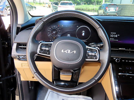 Kia Carnival — photo 08