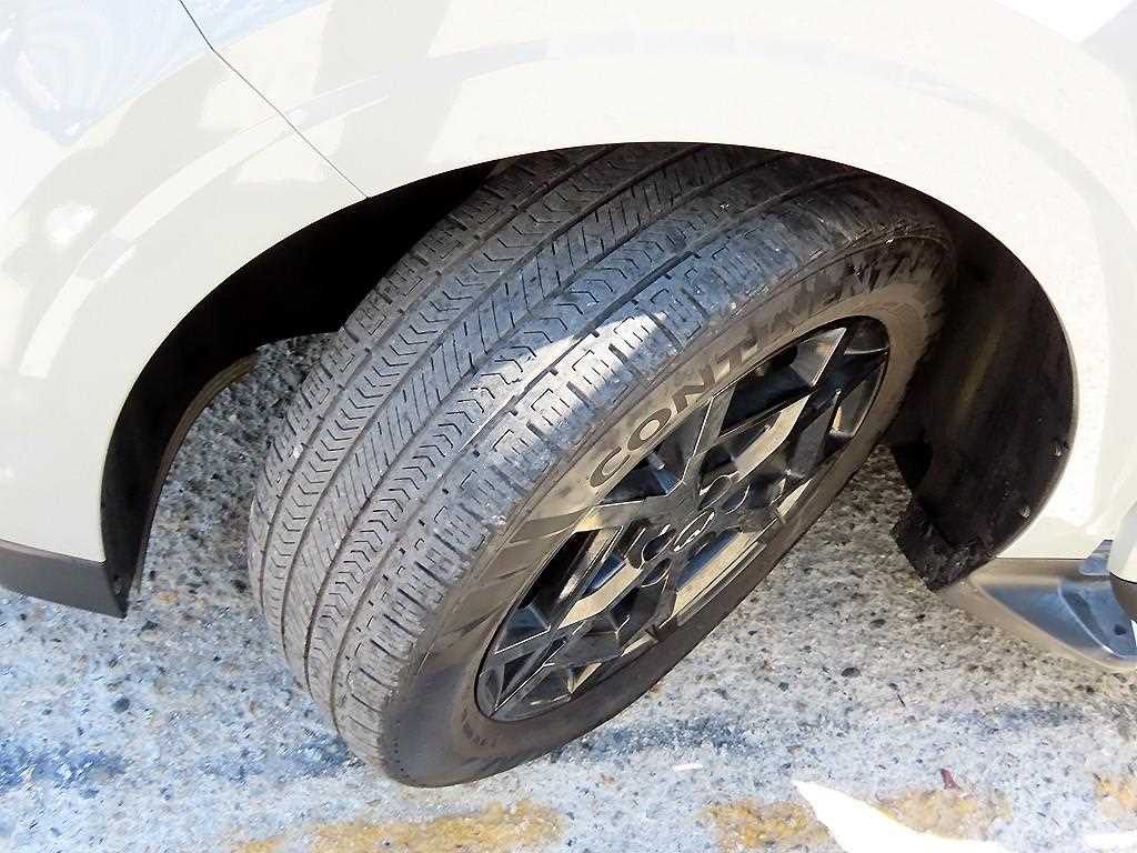 Kia Carnival — photo 20