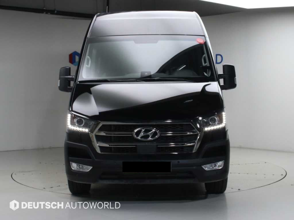Hyundai Solati — photo 03