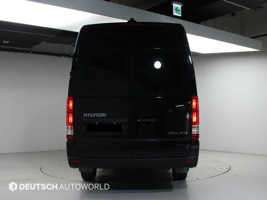 Hyundai Solati — photo 04