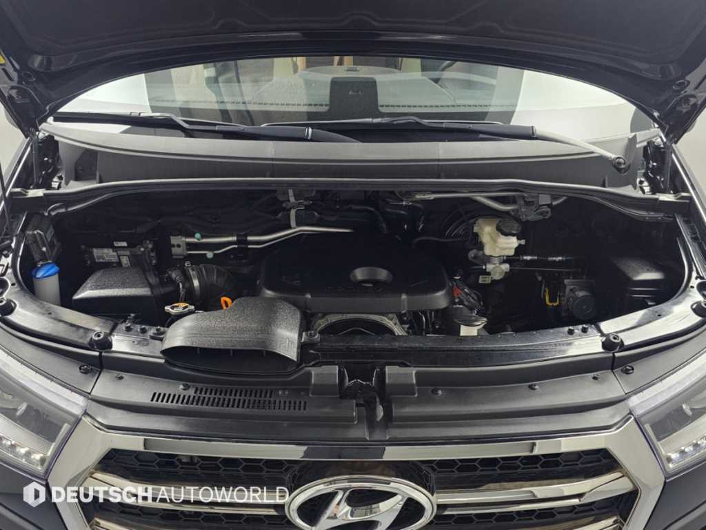 Hyundai Solati — photo 06