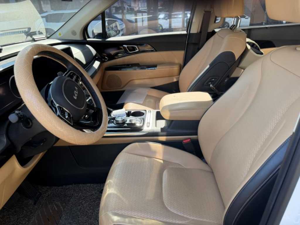 Kia Carnival — photo 15
