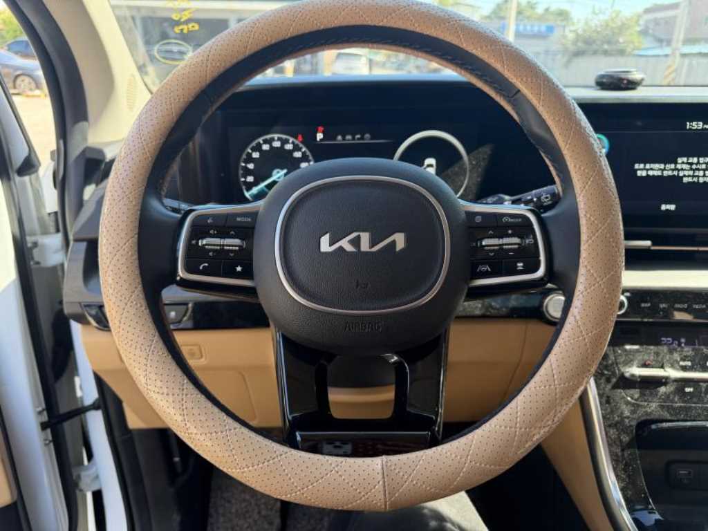 Kia Carnival — photo 17