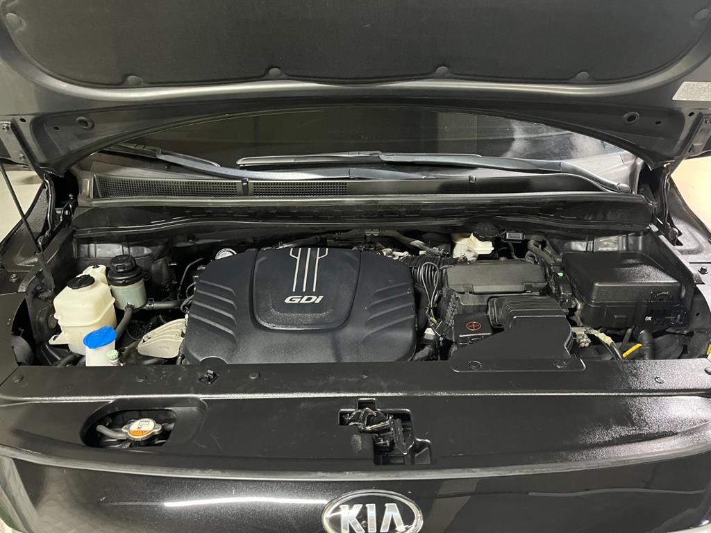 Kia Carnival — photo 05