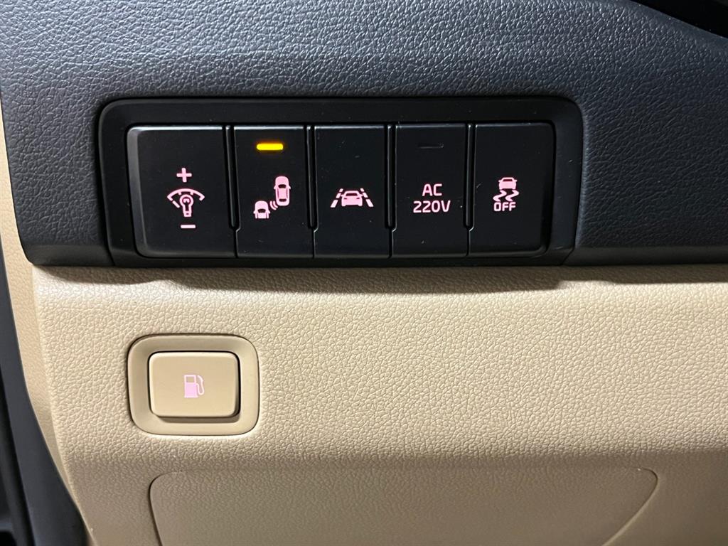 Kia Carnival — photo 14